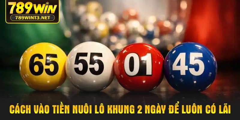 Cách vào tiền nuôi lô khung 2 ngày để luôn có lãi